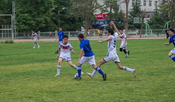 此次分组无 此次分组无